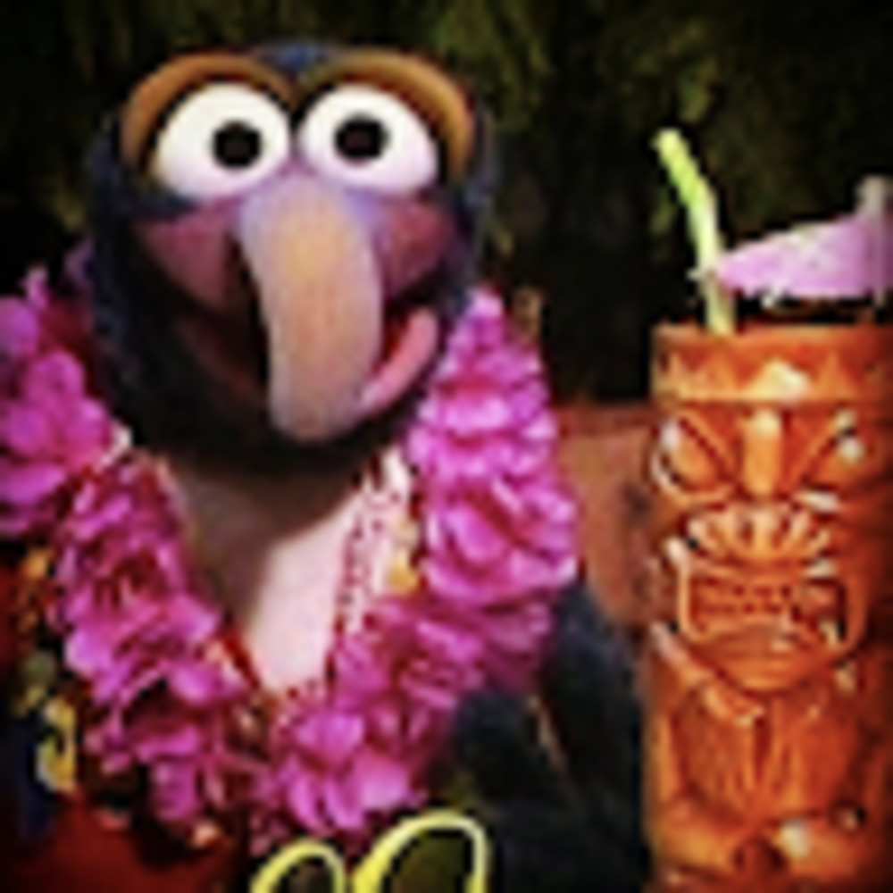 Meet your Posher, Erik